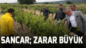 Sancar; zarar büyük