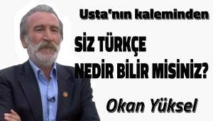 SİZ TÜRKÇE NEDİR BİLİR MİSİNİZ?