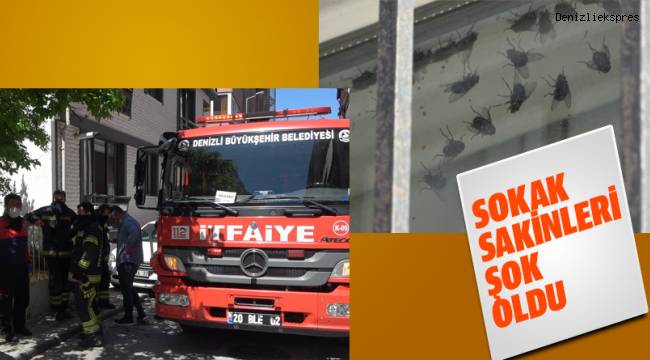 Sokak sakinleri dayanılmaz kokunun nedenini öğrenince şok oldu