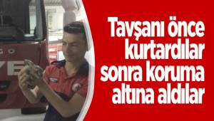 Tavşanı önce kurtardılar sonra koruma altına aldılar