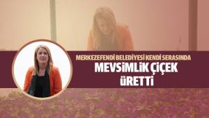 Yaklaşık 200 bin çiçeği kendileri ürettiler