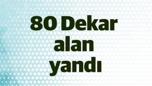 80 Dekar alan yandı