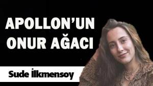 APOLLON'UN ONUR AĞACI