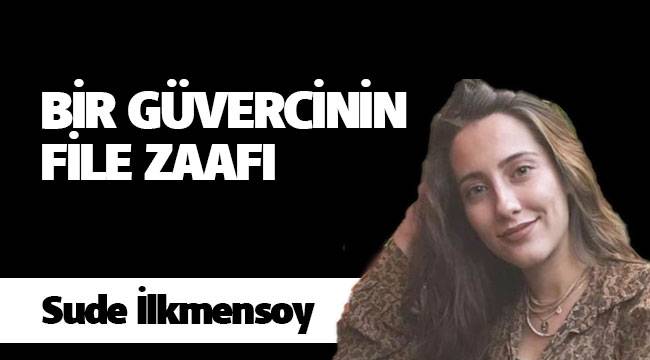 BİR GÜVERCİNİN FİLE ZAAFI