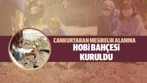 Cankurtaran Mesirelik alanında hobi bahçesi kuruldu