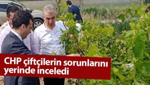 CHP çiftçilerin sorunlarını yerinde inceledi