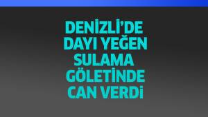 Dayı-yeğen sulama göletinde boğuldu