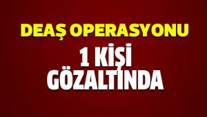 DEAŞ operasyonunda 1 kişi gözaltına alındı