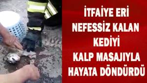 Denizli'de itfaiye eri, kediyi kalp masajıyla hayata döndürdü