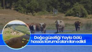 Doğa güzelliği Yayla Gölü hassas koruma alanı ilan edildi