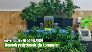 Evin içine çadır kurup vantilatörle sistem kurup kenevir yetiştirdiler