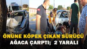 Köpeğe çarpmak istemeyen sürücü ağaca çarptı: 2 yaralı