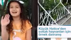 Küçük Hatice’den sokak hayvanları için örnek davranış