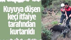Kuyuya düşen keçi itfaiye tarafından kurtarıldı