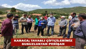 Tavas'lı çiftçiler susuzluktan perişan