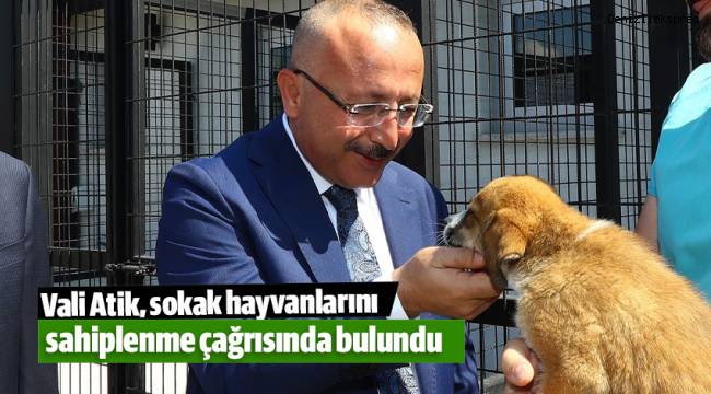 Vali Atik, sokak hayvanlarını sahiplenme çağrısında bulundu