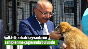 Vali Atik, sokak hayvanlarını sahiplenme çağrısında bulundu