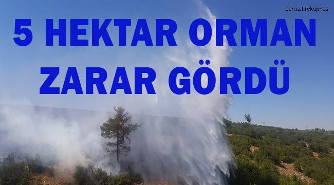 2 saatte kontrol altına alınan orman yangınında 5 hektar alan zarar gördü