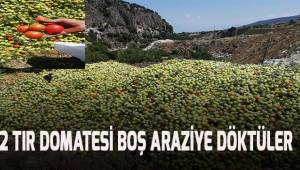 2 Tır domatesi boş araziye attılar
