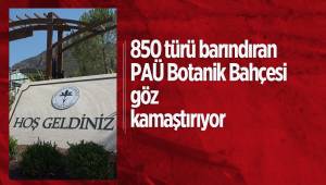 850 türü barındıran PAÜ Botanik Bahçesi göz kamaştırıyor