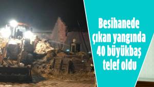 Besihanede çıkan yangında 40 büyükbaş telef oldu