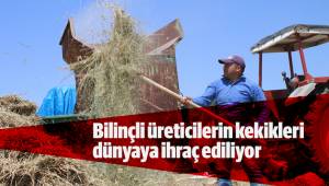 Bilinçli üreticilerin kekikleri dünyaya ihraç ediliyor