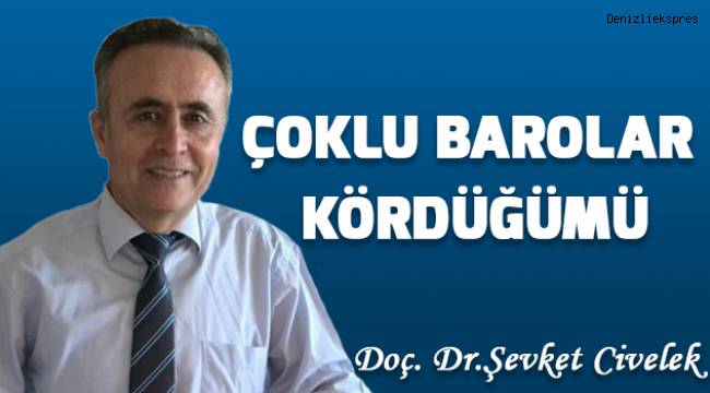 Çoklu Barolar Kördüğümü