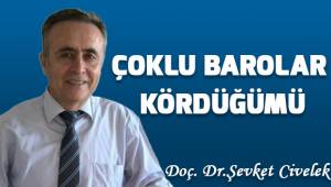 Çoklu Barolar Kördüğümü