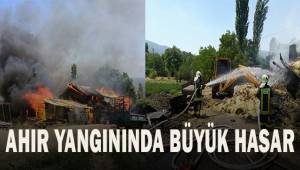 Denizli'de ahır yangınında saman ve yemler yandı