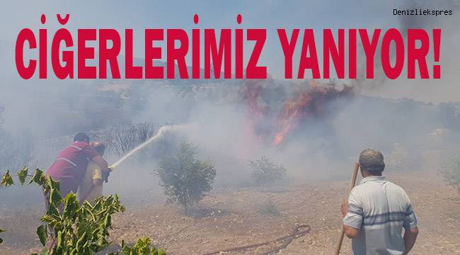 Denizli’de orman yangına havadan ve karadan müdahale ediliyor