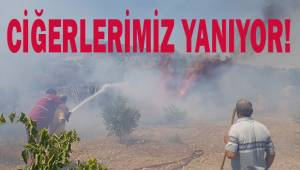 Denizli’de orman yangına havadan ve karadan müdahale ediliyor
