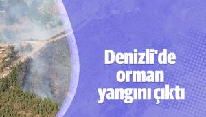 Denizli'de orman yangını çıktı
