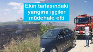 Ekin tarlasındaki yangına işçiler müdahale etti.