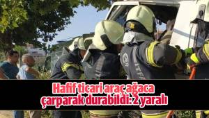 Hafif ticari araç ağaca çarparak durabildi: 2 yaralı