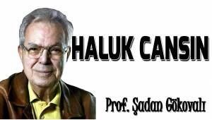 HALUK CANSIN
