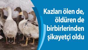 Kazları ölen de, öldüren de birbirlerinden şikayetçi oldu