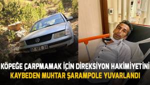 Köpeğe çarpmamak için direksiyon hakimiyetini kaybeden muhtar şarampole yuvarlandı