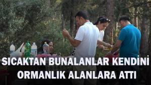 Sıcaktan bunalanlar kendini ormanlık alanlara attı