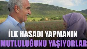 Tavas'ta tarlasına lavanta eken çiftçi ilk hasadı yaptı