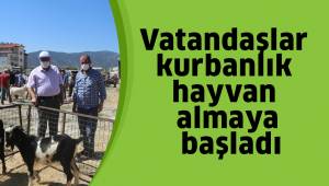 Vatandaşlar kurbanlık hayvan almaya başladı