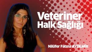 Veteriner Halk Sağlığı