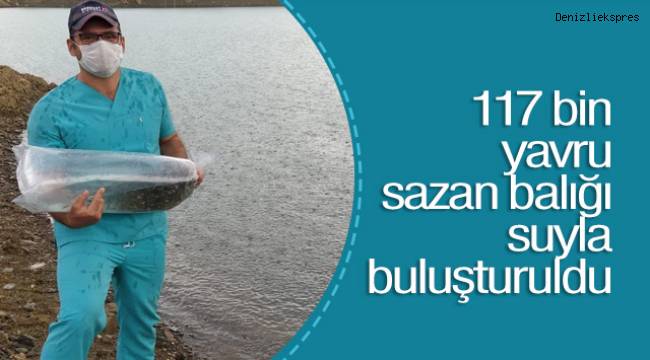 117 bin yavru sazan balığı suyla buluşturuldu