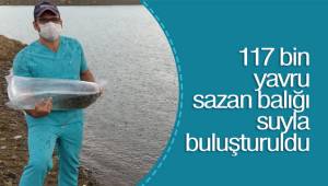 117 bin yavru sazan balığı suyla buluşturuldu
