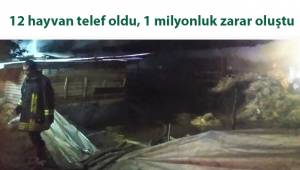 12 hayvan telef oldu, 1 milyonluk zarar oluştu
