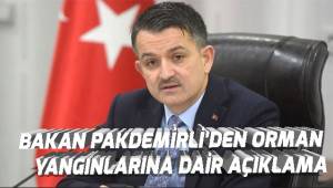 Bakan Pakdemirli'den Orman yangınlarına dair açıklama