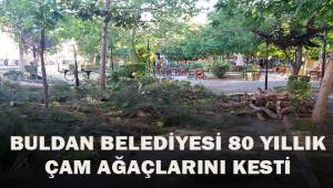 Buldan Belediyesi 80 yıllık çam ağaçlarını kesti