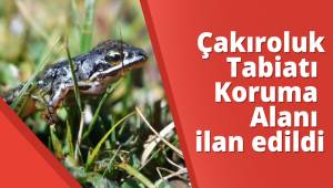 Çakıroluk Tabiatı Koruma Alanı ilan edildi