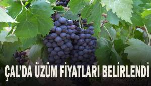 Çal'da üzüm fiyatları belli oldu
