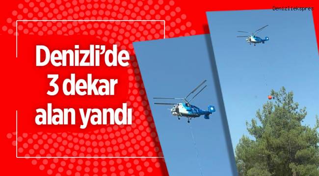Denizli’de 3 dekar alan yandı