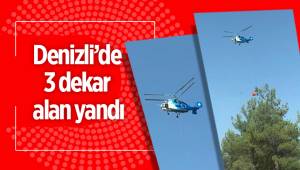 Denizli’de 3 dekar alan yandı